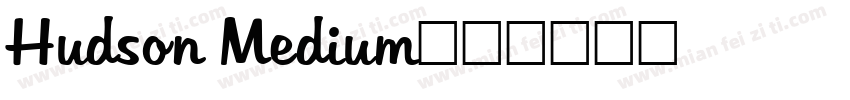 Hudson Medium字体转换